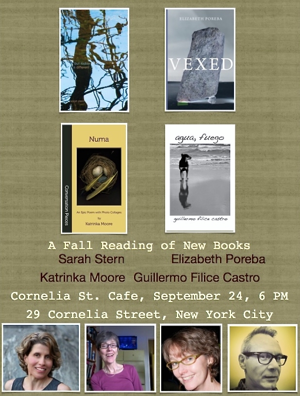 fallreadingofnewbooks